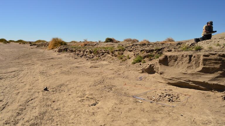 El hallazgo se produjo durante una campaña de excavación arqueológica cerca de la localidad de Sarmiento, unos 150 kilómetros al oeste de Comodoro Rivadavia