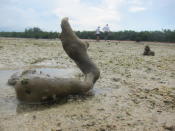 A brown sponge exposed. (Yahoo! Singapore/ Karen Vera)