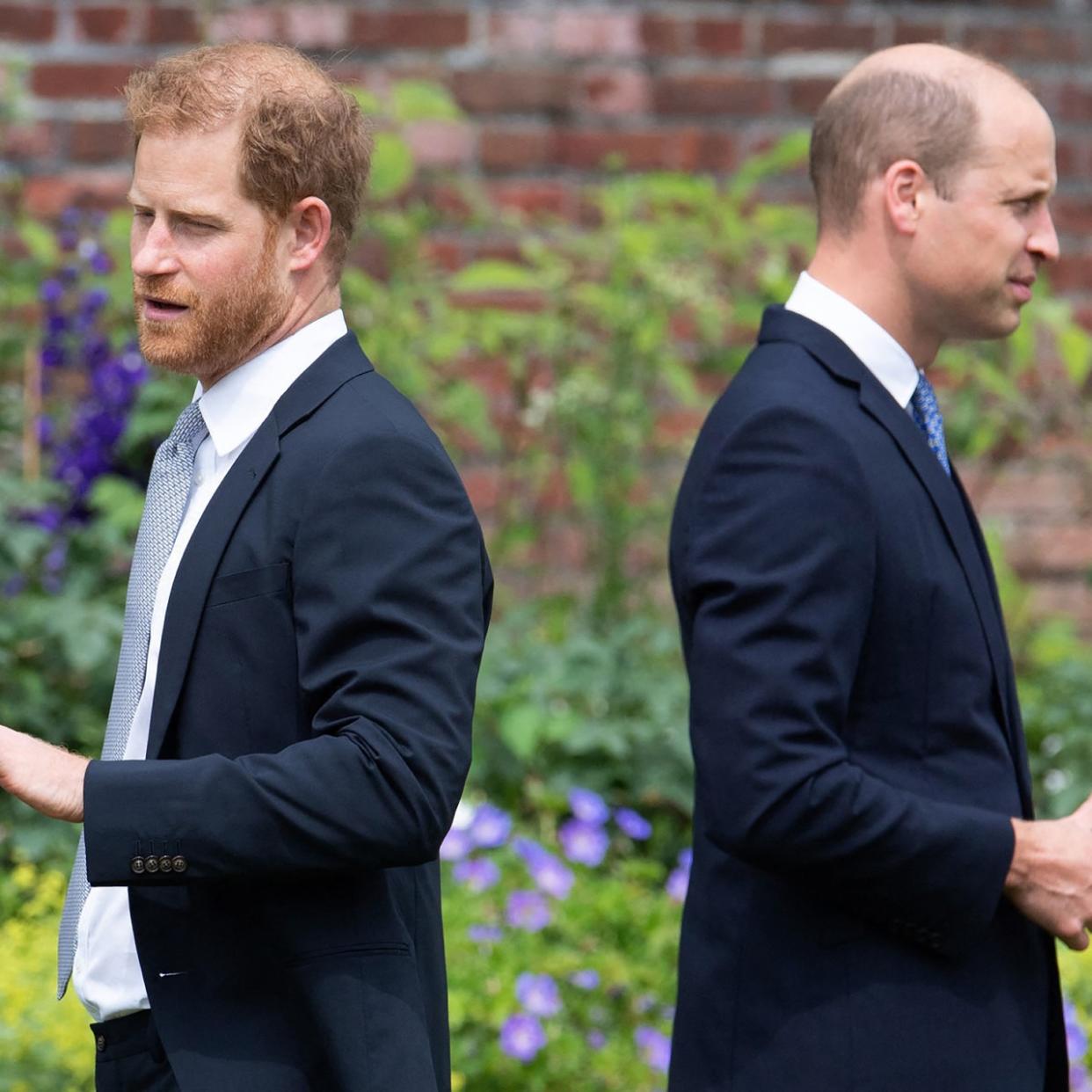  Prince William, Prince Harry. 