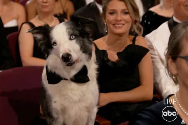 <p>ABC</p> Messi and his owner Laura Martin at the 96th Academy Awards on March 10, 2024.