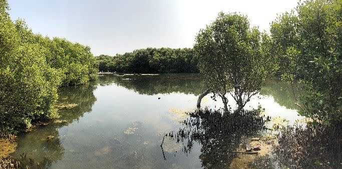 林園海洋濕地公園一隅。