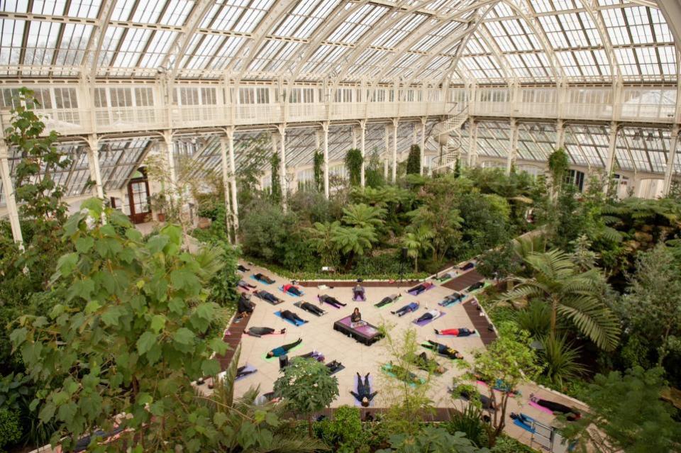 News Shopper: Kew Gardens will be hosting a range of wellbeing activities, including yoga in the Temperate House,