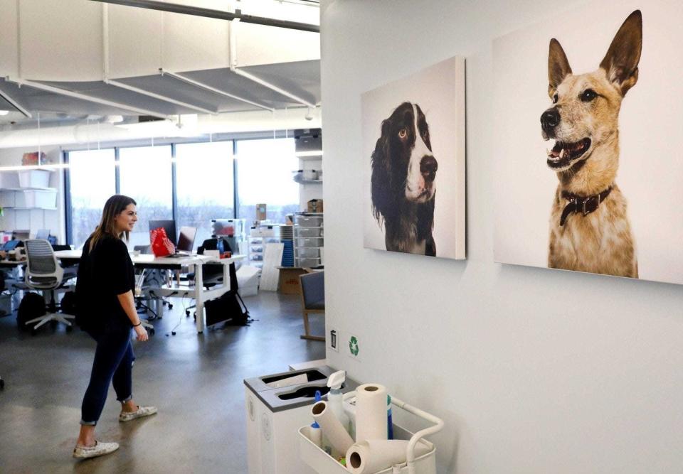 Bark, best known for its monthly treat and toy service called BarkBox, said Thursday it has eliminated 126 jobs.