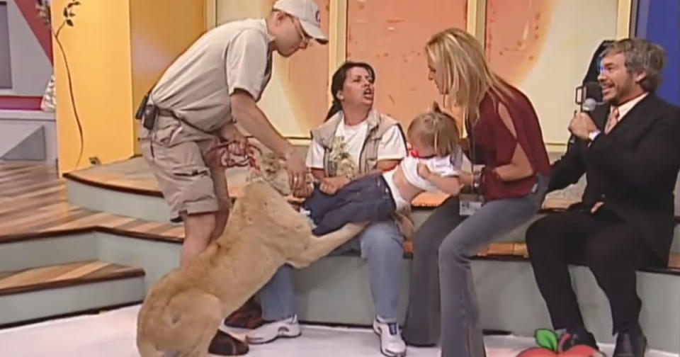 WOAH! Watch the utterly terrifying moment this lion cub attempts to eat a child on live TV