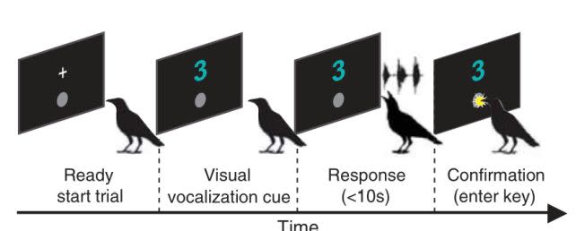 A diagram illustrating the experiment. (<a href="http://www.science.org/doi/10.1126/science.adl0984" rel="nofollow noopener" target="_blank" data-ylk="slk:Liao et al., Science, 2024;elm:context_link;itc:0;sec:content-canvas" class="link ">Liao et al., <em>Science</em>, 2024</a>)