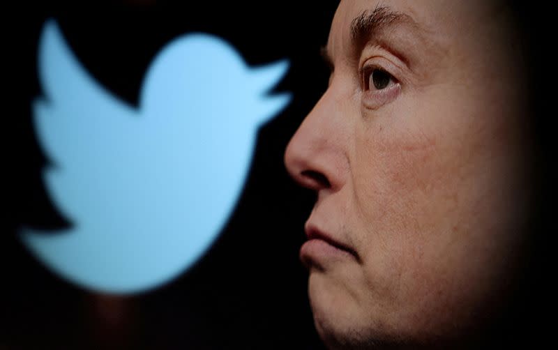 FILE PHOTO: FILE PHOTO: Illustration shows Elon Musk photo and Twitter logo