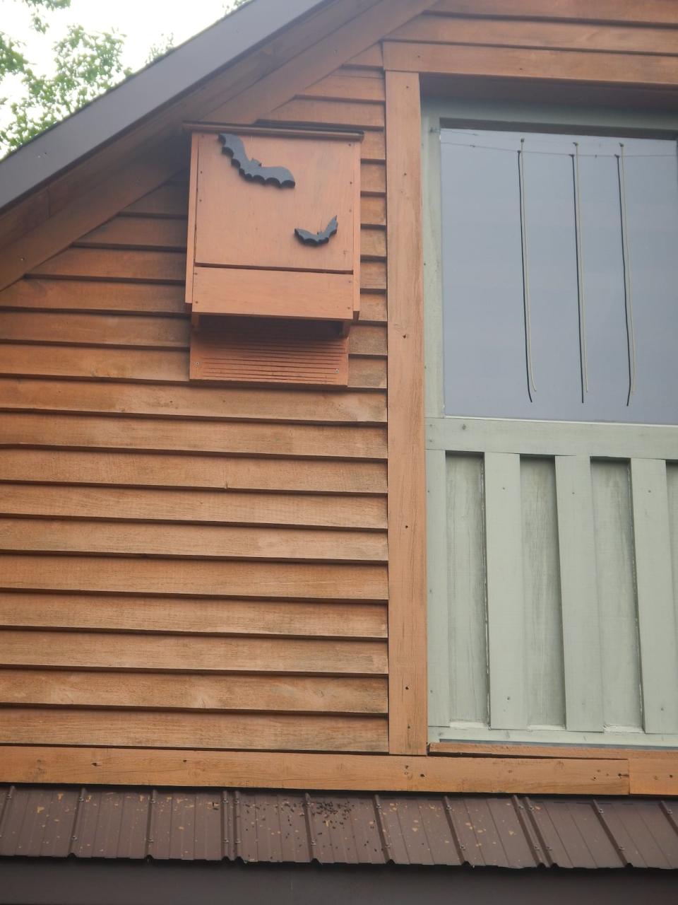 An occupied bat box, also called a bat house, north of Fredericton. A bat house is a structure usually made of wood that is built to attract bats so that during the day, while the bats are sleeping, they are safely away from predators.