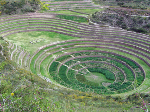 Moray - Credit: Wikimedia Commons