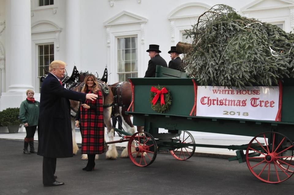 A horse and carriage pulls in to deliver this year's Christmas tree to the White House (AP)