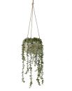 <p>'Perfect for adding style to an outdoor gazebo or around a doorway, this hanging white <a href="https://www.housebeautiful.com/uk/garden/g39927493/hanging-plant-pots/" rel="nofollow noopener" target="_blank" data-ylk="slk:ceramic planter;elm:context_link;itc:0;sec:content-canvas" class="link ">ceramic planter</a> features delicately cascading faux eucalyptus branches and is finished with a sturdy rope cord,' explain Tesco.</p><p><a class="link " href="https://www.tesco.com/groceries/en-GB/buylists/mrs_hinch/mrs-hinch" rel="nofollow noopener" target="_blank" data-ylk="slk:SHOP THE RANGE;elm:context_link;itc:0;sec:content-canvas">SHOP THE RANGE</a></p>