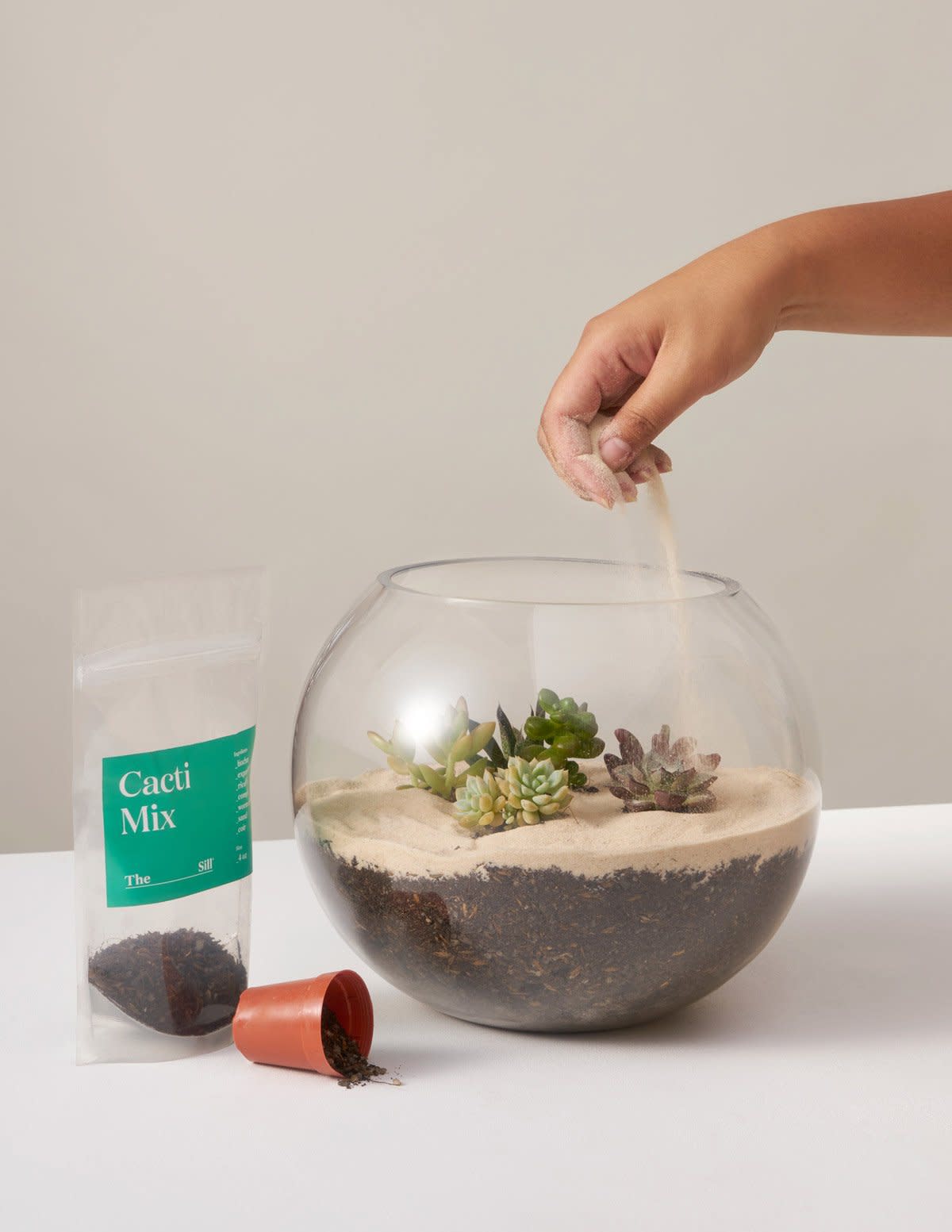 <p><a href="https://go.redirectingat.com?id=74968X1596630&url=https%3A%2F%2Fwww.thesill.com%2Fproducts%2Fdiy-succulent-terrarium-kit%3F_pos%3D3%26_sid%3Dd5fd96e74%26_ss%3Dr%26variant%3D12484893343845&sref=https%3A%2F%2Fwww.esquire.com%2Flifestyle%2Fg37244474%2Fgifts-for-teen-boys%2F" rel="nofollow noopener" target="_blank" data-ylk="slk:Shop Now;elm:context_link;itc:0;sec:content-canvas" class="link rapid-noclick-resp">Shop Now</a></p><p>DIY Terrarium Kit</p><p>thesill.com</p><p>$90.00</p>