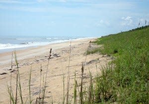 Apollo Beach, Florida, is part of the 24-mile Canaveral National Seashore, an ideal place to get close to nature. While nude swimming is illegal here, it's a long-standing tradition that locals tolerate if you keep a low profile. Most nudists find walking a few miles to more deserted areas of the beach worth the effort to keep the peace.