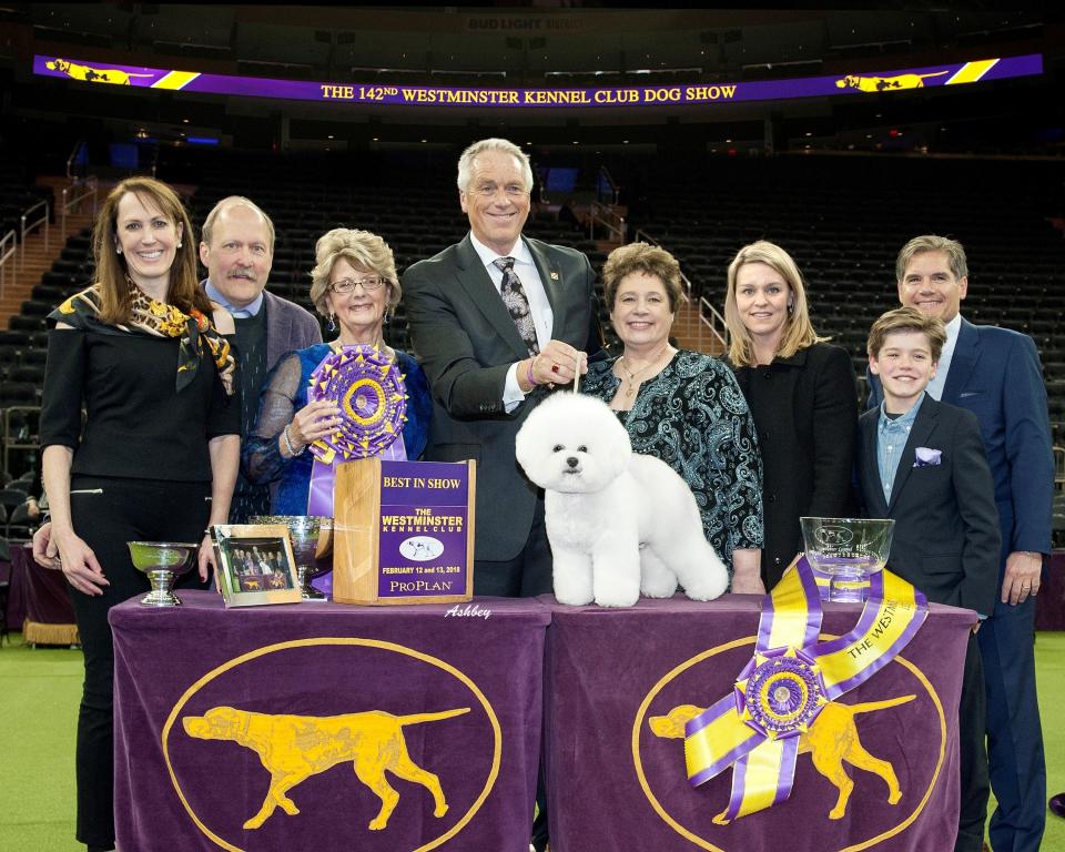 At the podium upon winning Best-In-Show in 2018, bichon frise Flynn and his team. From left: Lindsay VanKreuren (breeder and owner), Lawrence Letsche DVM ( breeder and owner), Betty Ann Stenmark (judge), Bill McFadden ( handler), Lorrie Carlton ( breeder and owner), Patrina Odette (owner), Bruce Odette (owner), and their son Adam Odette.