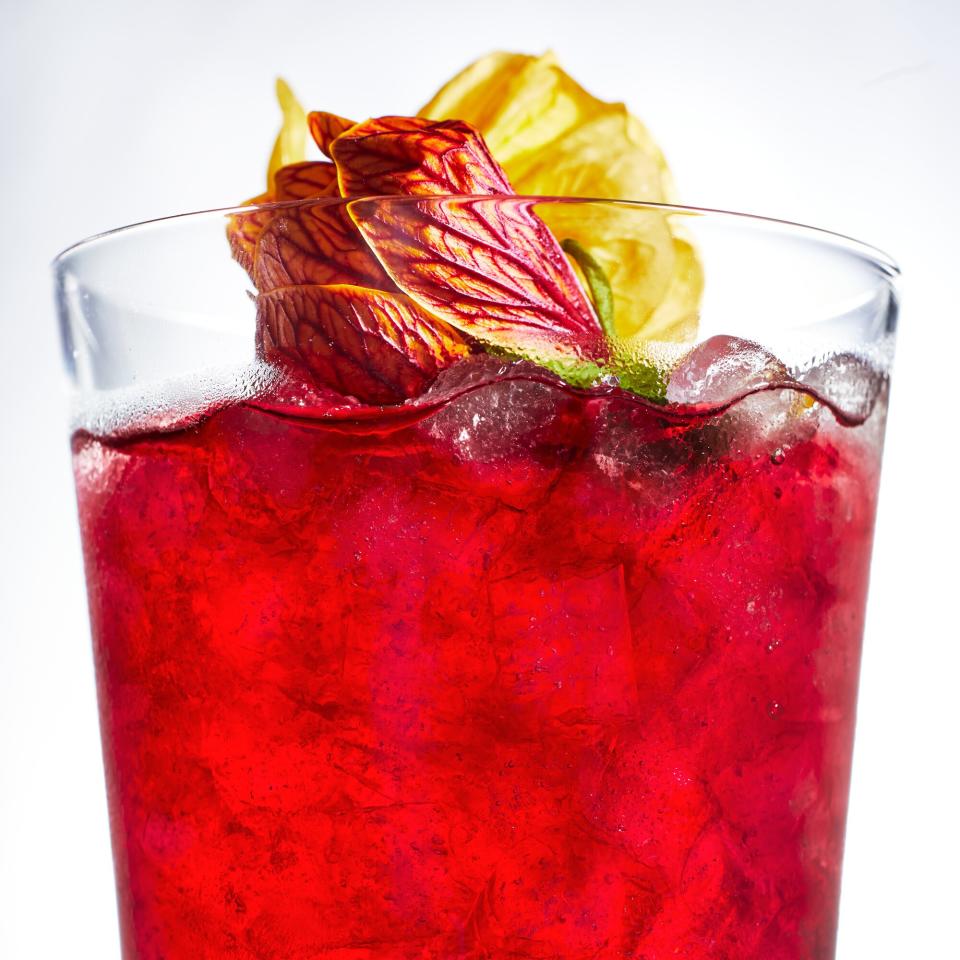 close-up photo of hibiscus tea