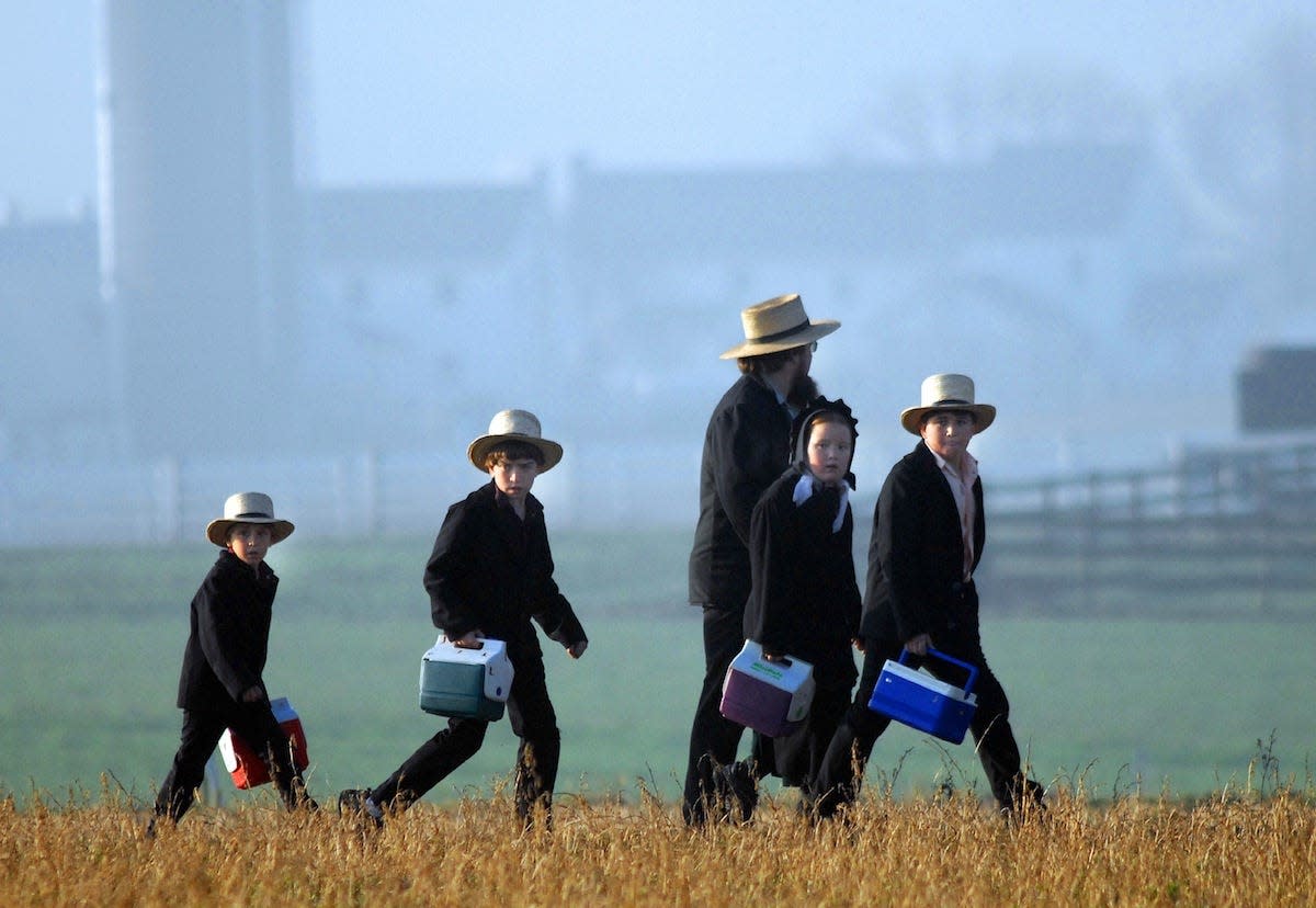 amish family field