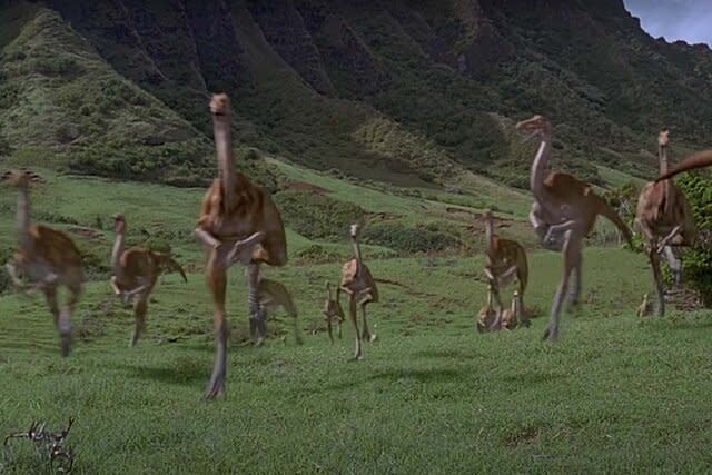 A herd of Gallimimus running toward the camera in the  Jurassic Park film series.