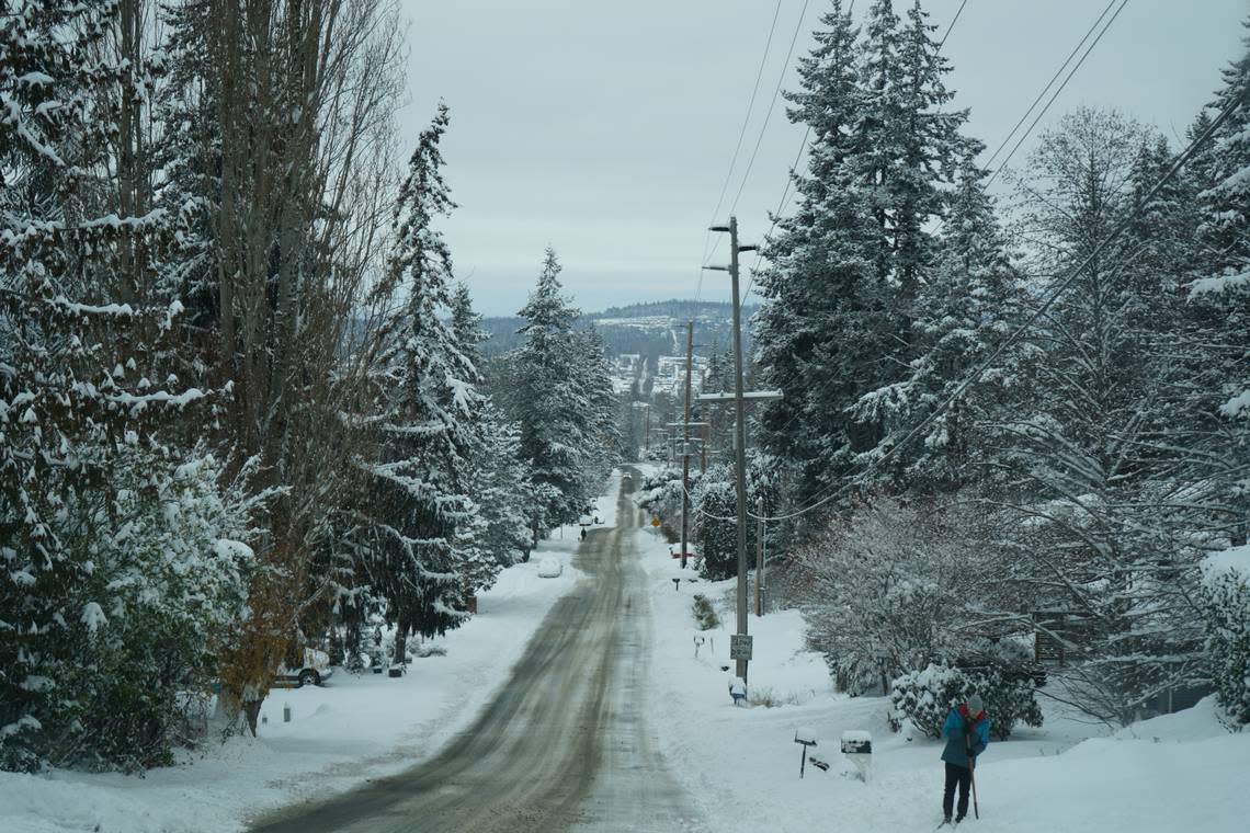 Snow-covered trees line a recently-plowed road Tuesday, Dec. 20, in Bellingham.