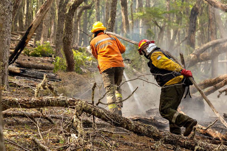 Incendio en la reserva provincial Corazón de la isla, en Tierra del Fuego