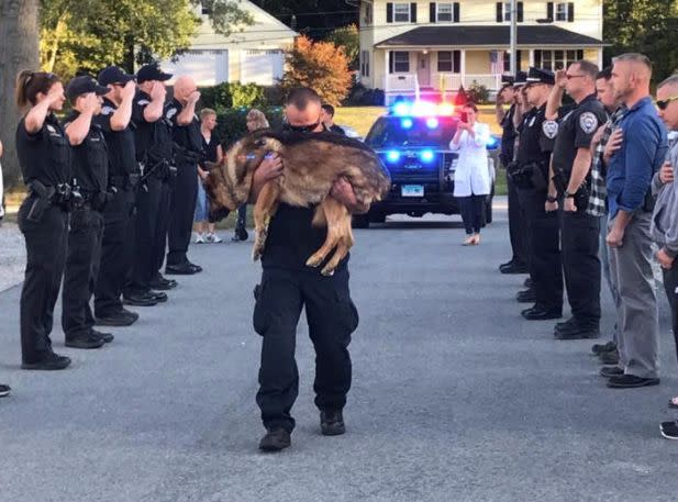 Officer Michael D'Aresta carries Hunter as the Middletown Police Department officers and workers stand in a show of respect. (Photo: Middletown Police Department)