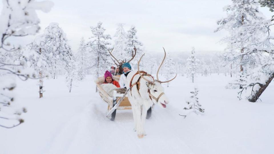 [5% Off] Animals Sleigh & Snowmobile Adventure in Rovaniemi | Finland. (Photo: KKday SG)