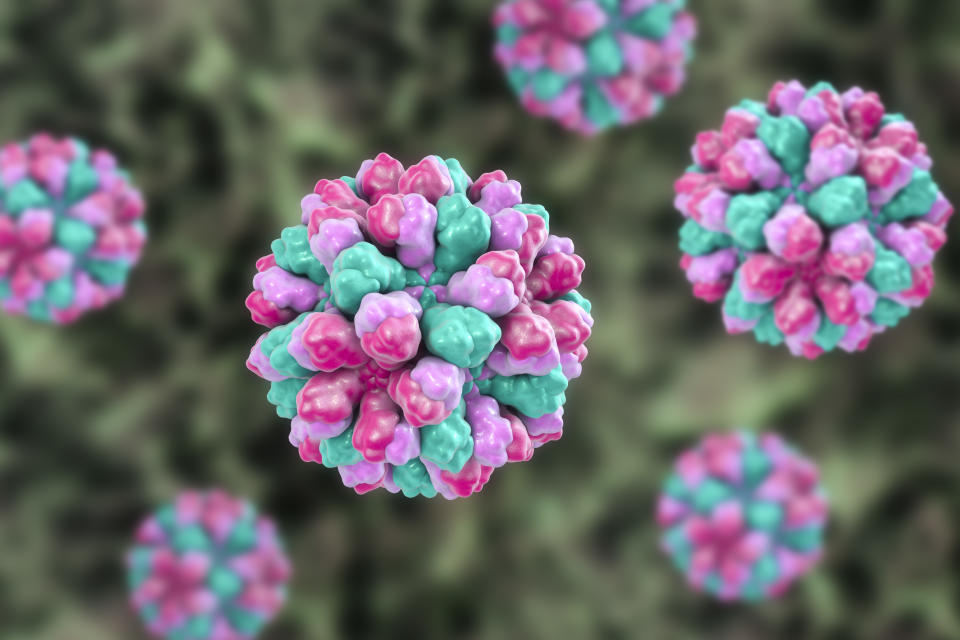 Norovirus, computer illustration. Norovirus is a genus of RNA (ribonucleic acid) viruses (of the family Caliciviridae), which cause about half of all gastroenteritis cases around the world. The disease is characterised by nausea, vomiting, diarrhoea and abdominal pain. The diarrhoea results in fluid loss and dehydration, which may become life-threatening in the young, the elderly, and the immunocompromised if not treated promptly.