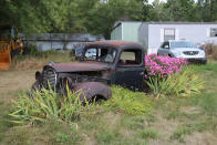 <p>We’re going to assume it was taken at least 30 years ago, because while the cars are still there, the field has since transformed into a forest. We spent an enjoyable September afternoon exploring this wonderful place, unearthing classics ranging in age from the 1930s to the 2000s.</p>