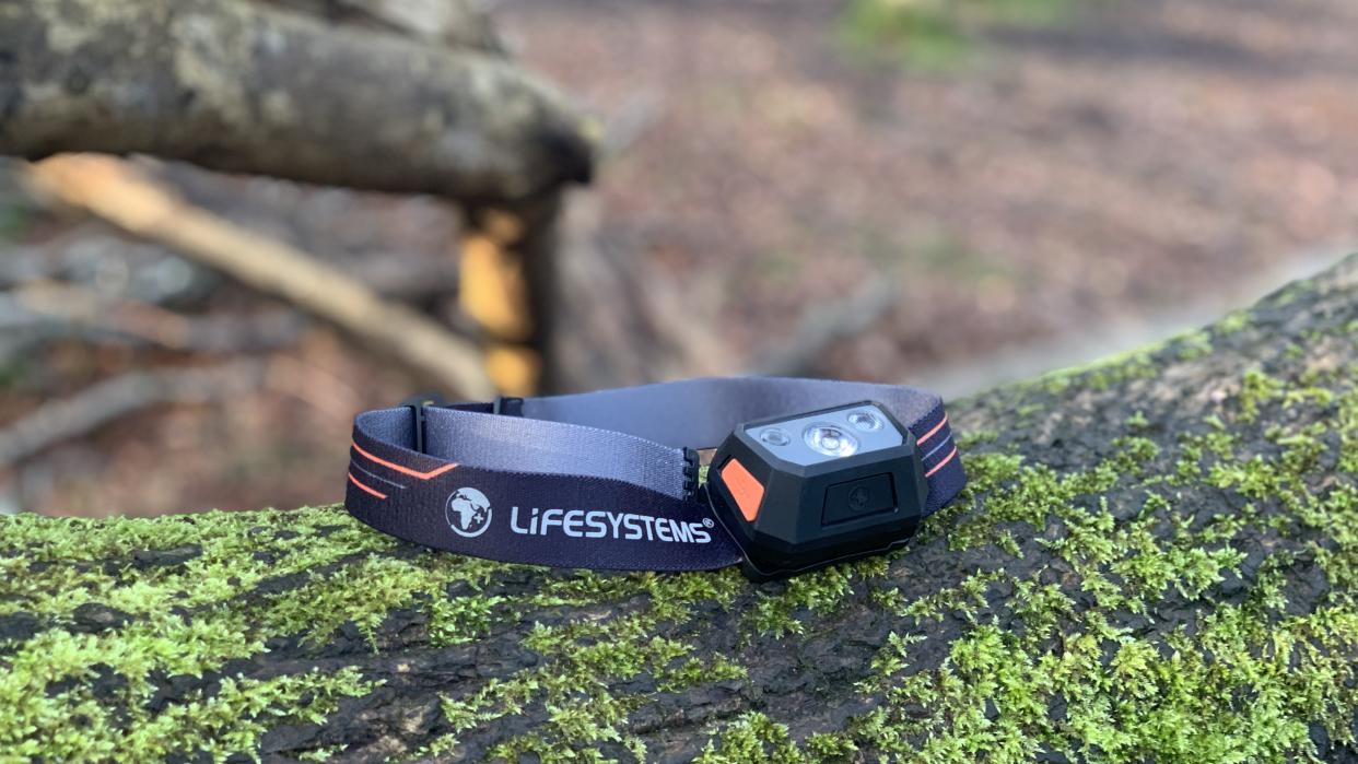  Lifesystems Intensity 300 LED Head Torch on a tree. 