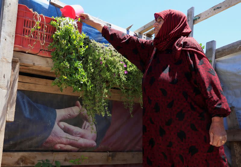 A Syrian refugee woman waters her plants, as Lebanon extends a lockdown to combat the spread of the coronavirus disease (COVID-19) at a Syrian refugee camp in the Bekaa valley