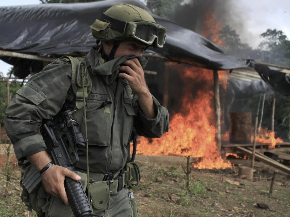 Colombia Narino Tumaco coca cocaine eradication