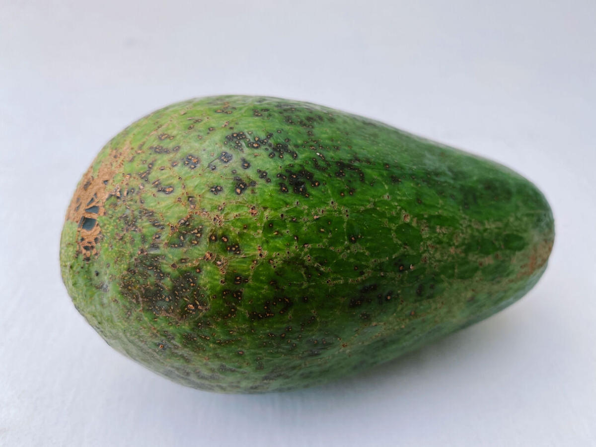 Comment savoir si un avocat est vraiment mûr?