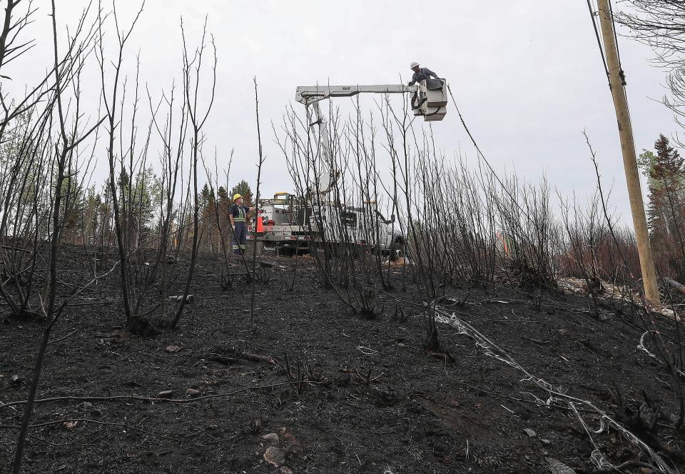 Utility workers replacing fiber optic lines following damage from the Barrington Lake Wildfire in Barrington, Nova Scotia on Thursday (EPA/COMMUNICATIONS NOVA SCOTIA HANDOUT)