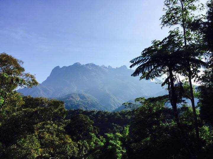 The Kinabalu Park will be closed from September 25 until October 8. — Picture via Facebook