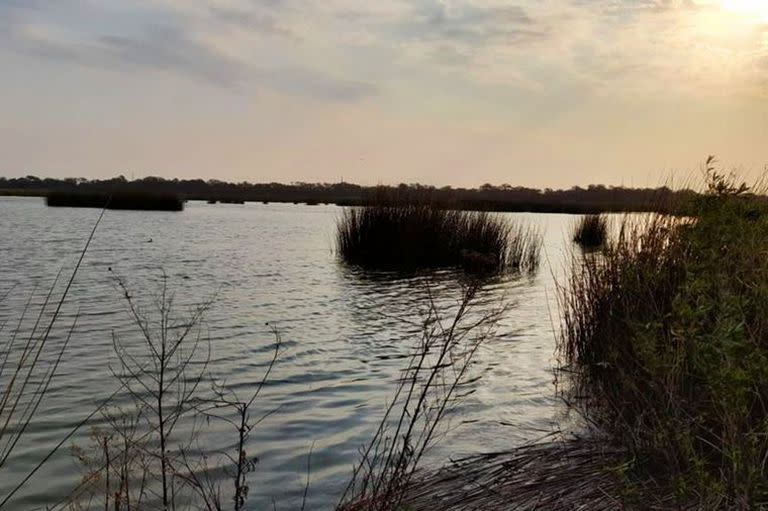 El segundo caso en el país de influenza aviar se detectó en dos patos silvestres en la laguna artificial Las Mojarras en el departamento cordobés de General San Martín