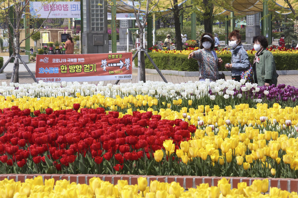 Women wearing face masks as a precaution against the coronavirus watch tulips at a park in Goyang, South Korea, Tuesday, April 20, 2021. The banner, bottom left, reads "One-way passage to overcome Corona 19 and 2 meters away." (AP Photo/Ahn Young-joon)