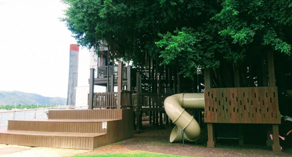 Cairns fig tree playground