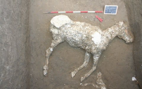 The remains of a Roman horse were found earlier this month - Credit: Pompeii archeological site