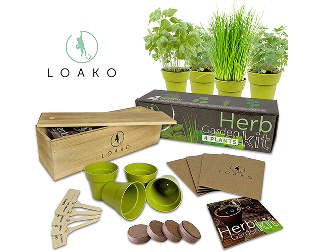 Loako Best Indoor Herb Kit Amazon