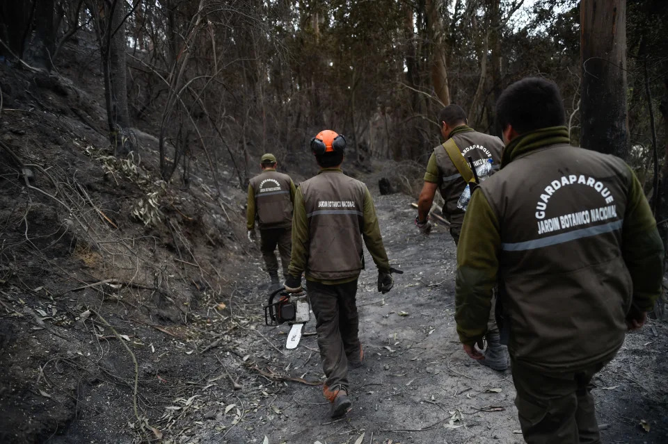 Los guardaparques limpian los caminos del Jardín Botánico, diseñado por el francés Georges Dubois en 1918, después de un incendio forestal en Viña del Mar, Chile, el 6 de febrero de 2024. (Foto de PABLO VERA/AFP vía Getty Images)