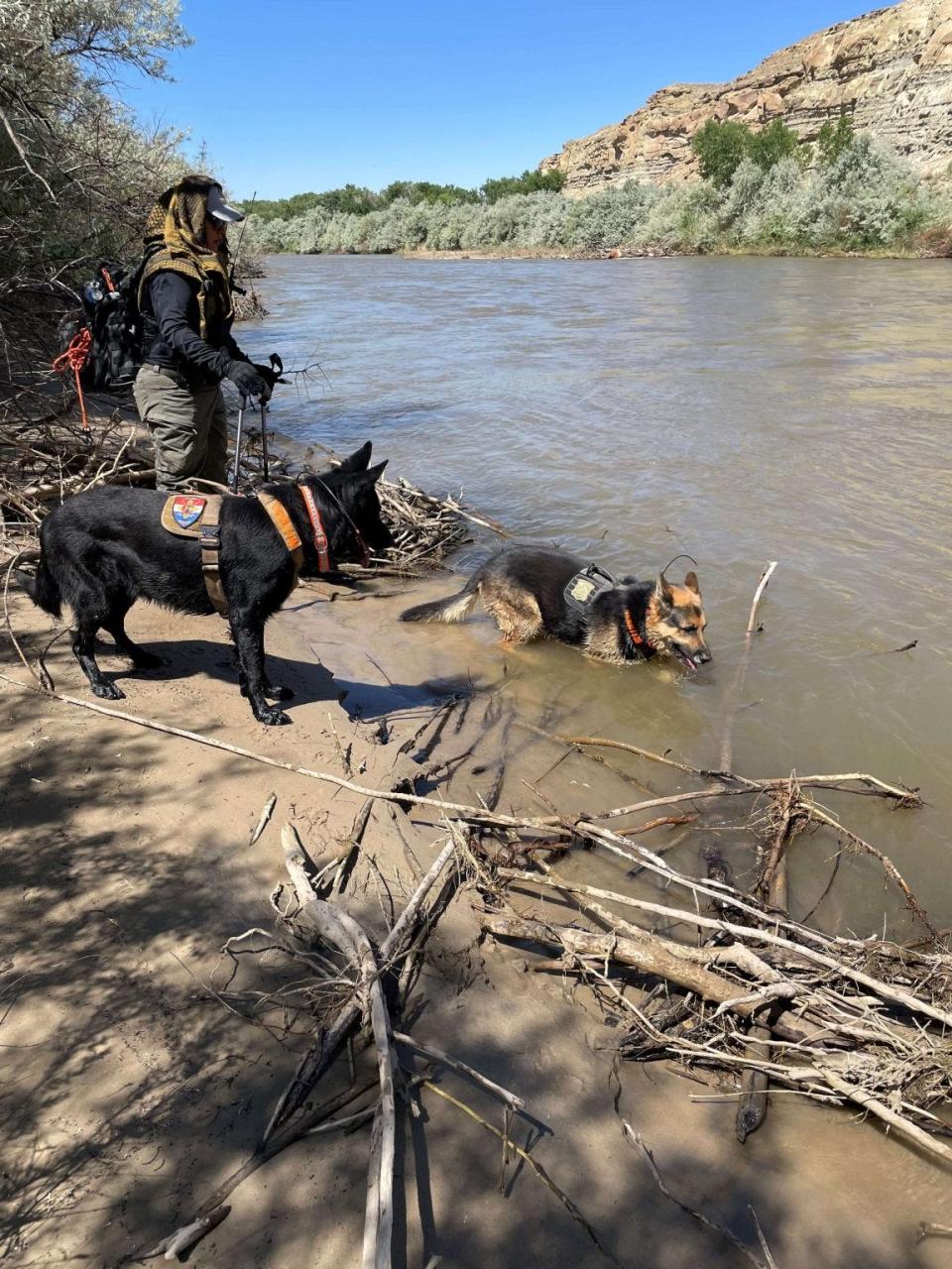 Bernadine Beyale searches along the San Juan River in Farmington on July 4 for a missing man with her dogs Gunny and Trigger.