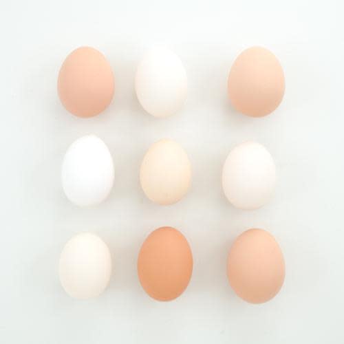 Large Vs. Extra Large Eggs: Does The Difference Really Matter?