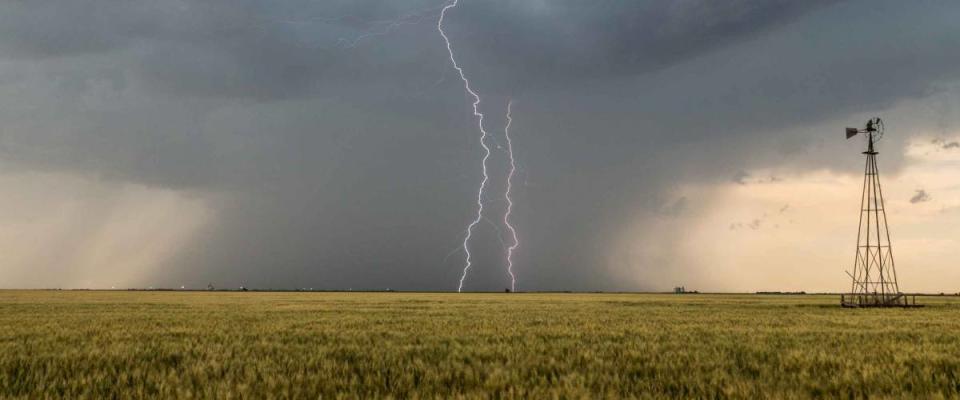 Lighting over ripening wheat fields near Dighton, Kansas