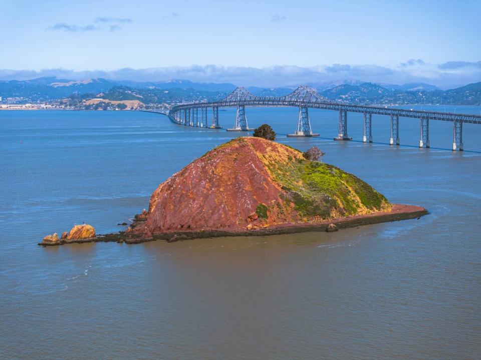 Red Rock Island is the only one privately owned in San Francisco Bay. The mineral manganese gives it the red appearance.