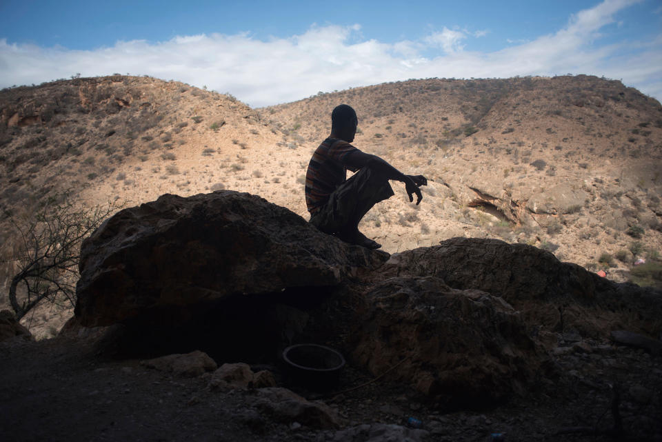 The world’s last wild frankincense forests