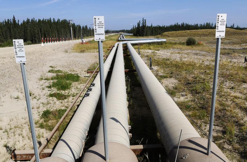 Pipelines carrying steam to wellheads and heavy oil back to the processing plant line the roads and boreal forest at the Cenovus Energy Christina Lake Steam-Assisted Gravity Drainage (SAGD) project 120 km (74 miles) south of Fort McMurray, Alberta, August 15, 2013. REUTERS/Todd Korol