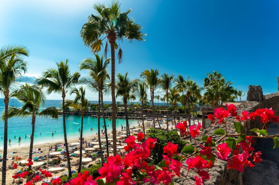 Winter temperatures that remain around 20C mean that Gran Canaria’s beaches are popular all year (Getty Images/iStockphoto)