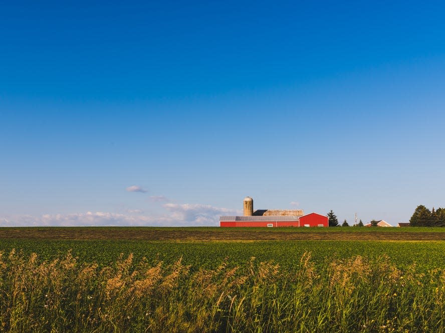 Goodwood/Uxbridge farm