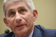 Dr. Anthony Fauci, director of the National Institute for Allergy and Infectious Diseases, testifies before a House Select Subcommittee hearing on the Coronavirus, Friday, July 31, 2020 on Capitol Hill in Washington. (Erin Scott/Pool via AP)