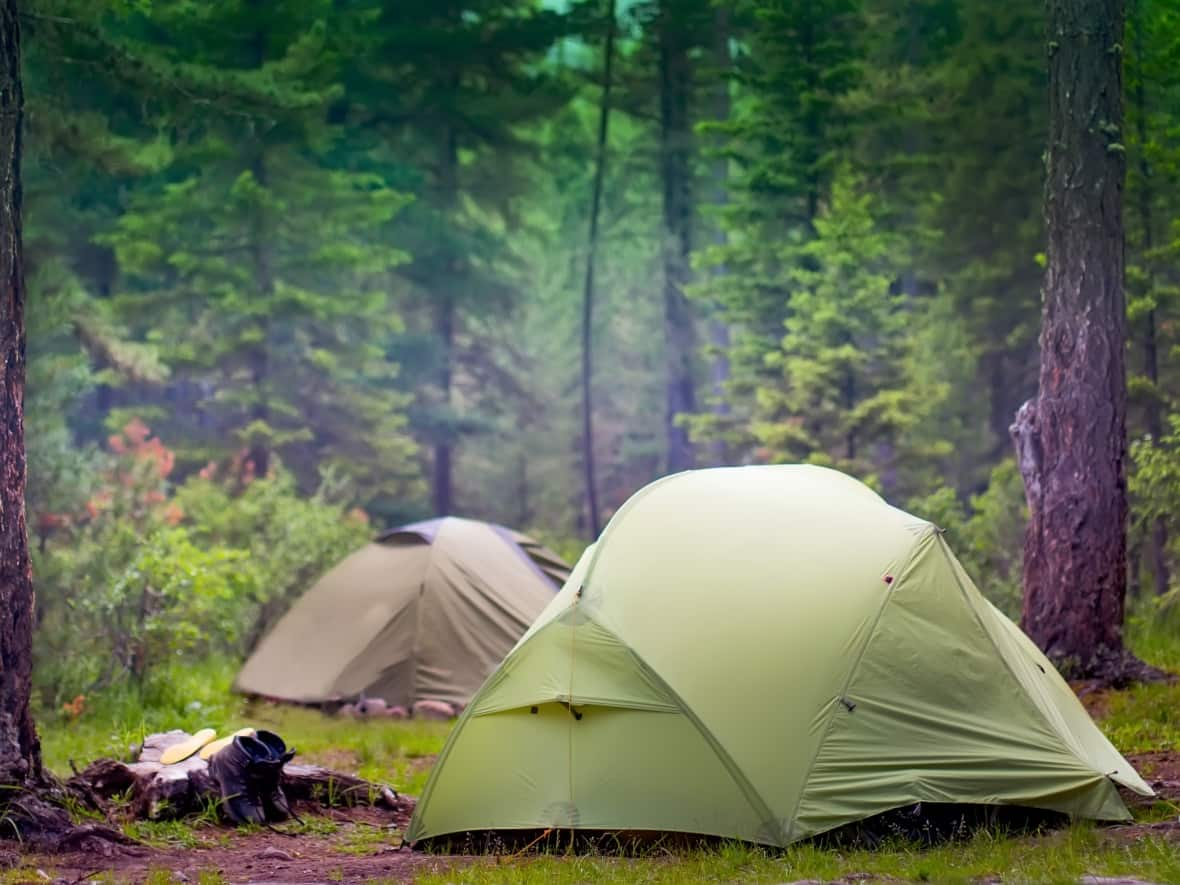 Parks Canada's new reservations system will launch on March 13, with bookings staggered over two weeks to avoid the website overloading. (Shutterstock/TDway - image credit)