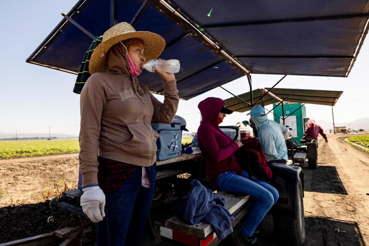 <span>Farm workers take a break and drink water in the shade of a tent during a heat wave in Camarillo, California, on 3 July 2024.</span><span>Photograph: Étienne Laurent/AFP via Getty Images</span>