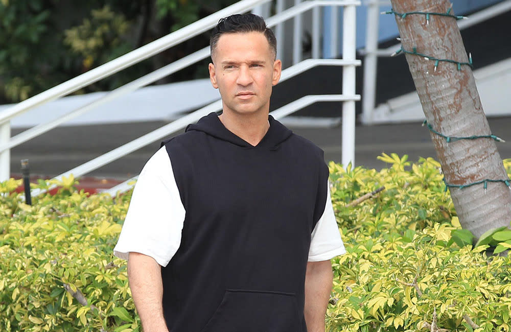 Mike Sorrentino has opened up about his drug battle credit:Bang Showbiz